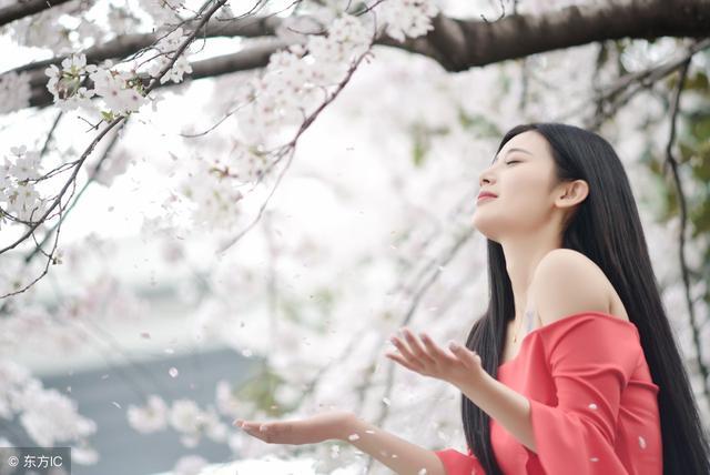 小说：唐突穿越全是套路的西幻世界，开始假冒大小姐的躺平人生