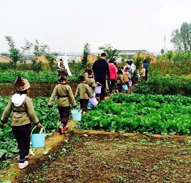 赢商看文旅|祈乐母婴童李知行：创意自然激发文创新形态