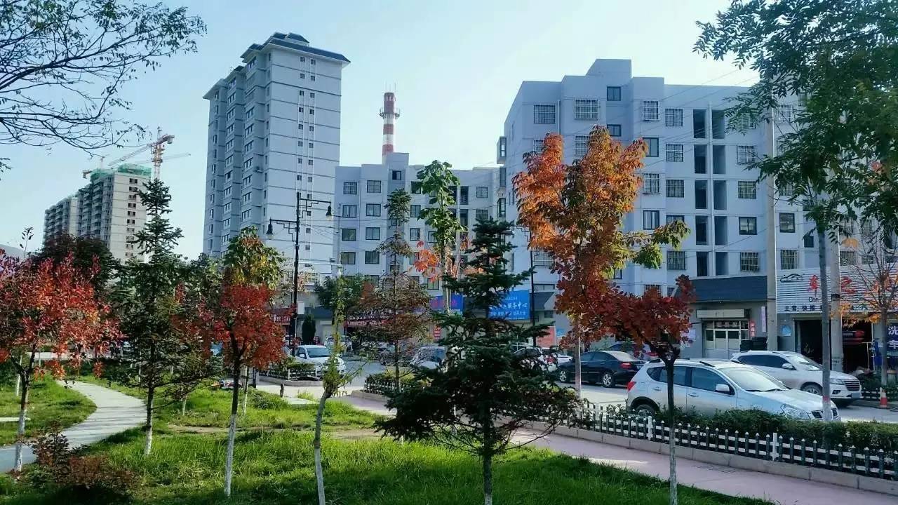 礼县魅力,魅力礼县纪录片