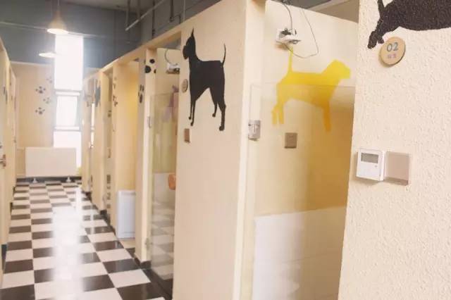 喂！住一晚160块，看次病成千上万！武汉这些狗活得太好了吧！