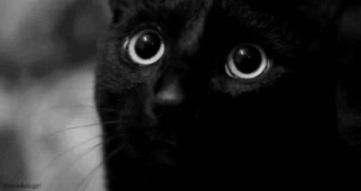 榛戝柕杩囩▼閲嶈杩樻槸缁撴灉閲嶈,榛戝柕浠ュ悗杩橀渶涓嶉渶瑕侀伩瀚屼簡