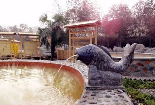 新盈泰温泉度假村能淋浴吗,新盈泰温泉在哪里