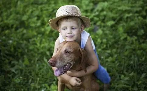 狗如果有狂犬病打疫苗有效吗,狗打针能预防狂犬病吗