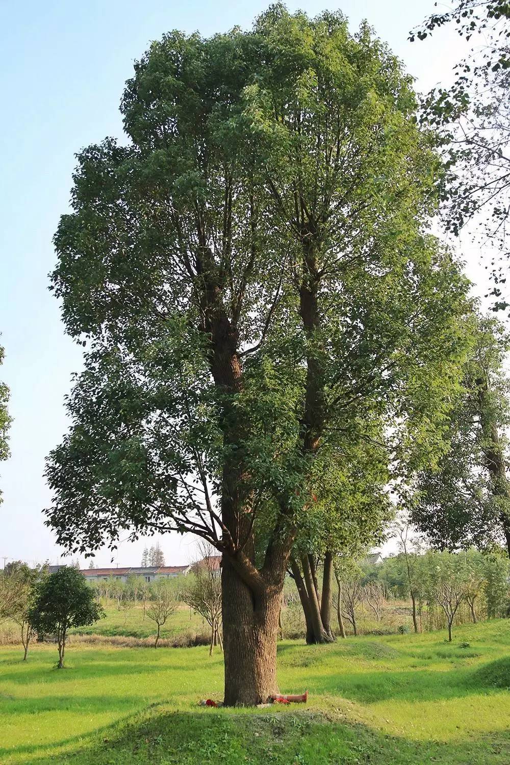 原来在宿舍也可以这么快乐,原来在大连也可以享受洱海