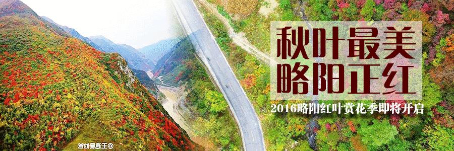 下好驻村帮扶先手棋,下好粮食增收先手棋