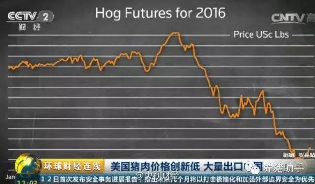 打碎美国猪肉的低价神话!看看传说中的进口肉到底多少钱!