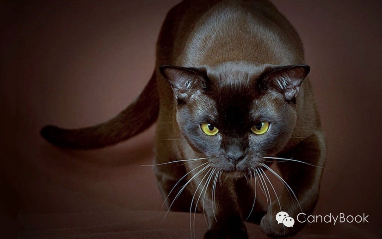 榛戝柕杩囩▼閲嶈杩樻槸缁撴灉閲嶈,榛戝柕浠ュ悗杩橀渶涓嶉渶瑕侀伩瀚屼簡