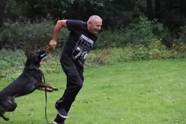 姿势|海关首次境外选犬,为何挑的是它?