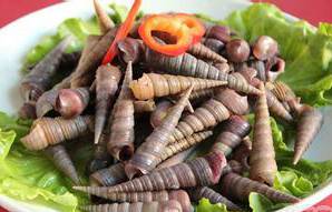 胆囊里面有虫怎么办,胆囊有虫什么症状