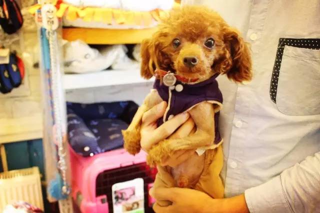 喂！住一晚160块，看次病成千上万！武汉这些狗活得太好了吧！