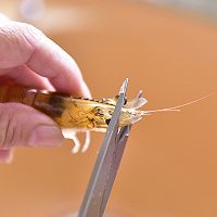 鲜掉你眉毛的海鲜粥