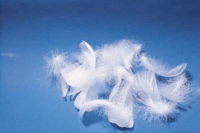 去日本自由行机票什么时候买最好 (如何购买日本自由行机票)