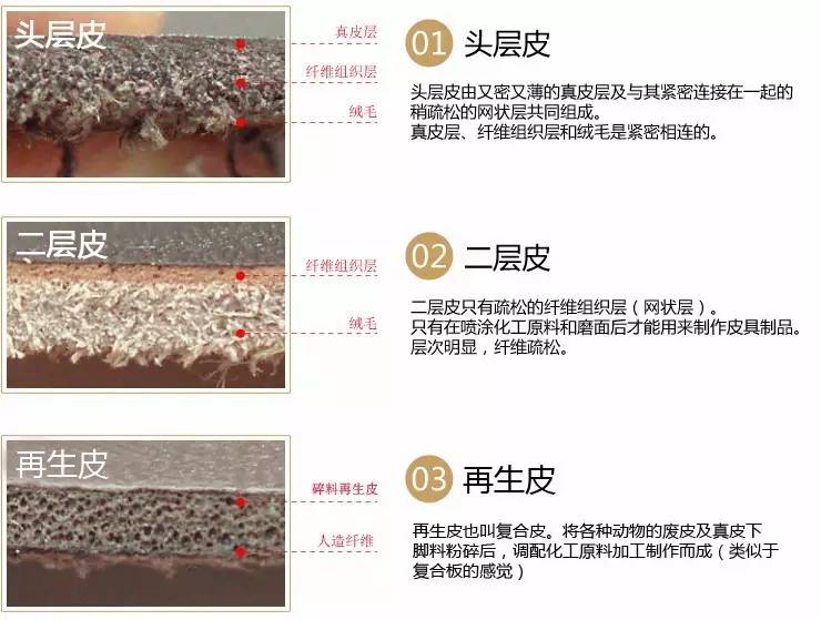 怎么辨别皮革的真假,认识人造革与真皮