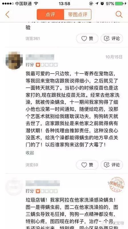 无良宠物店狗狗死亡,无良宠物店让人寒心