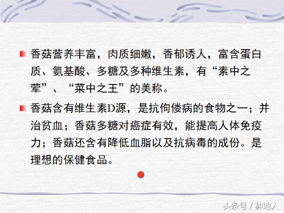 香菇栽培实用技术教案,屋顶香菇栽培