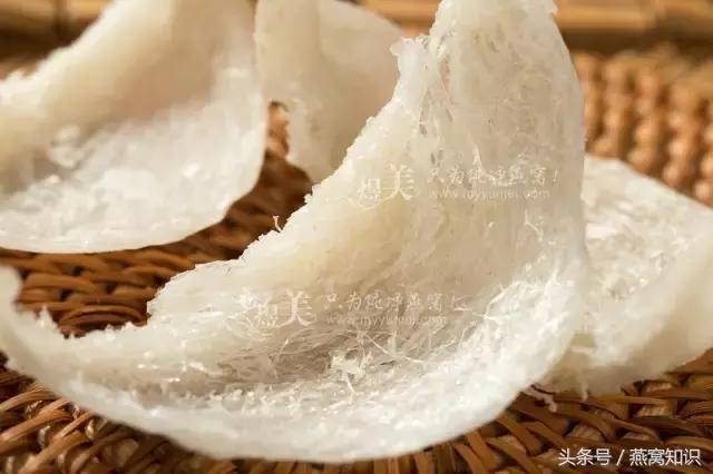 燕窝到底是啥玩意,真正的燕窝是怎样的