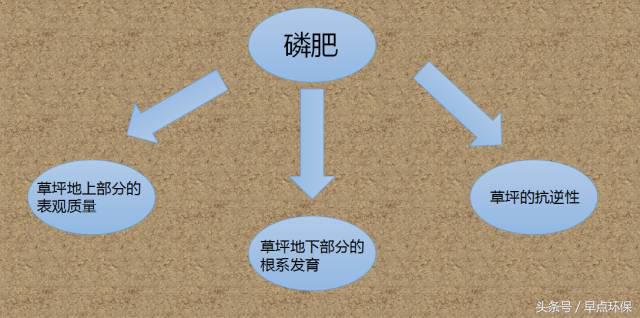 一个高尔夫球场要多少水养护,一个高尔夫球场要耗多少水