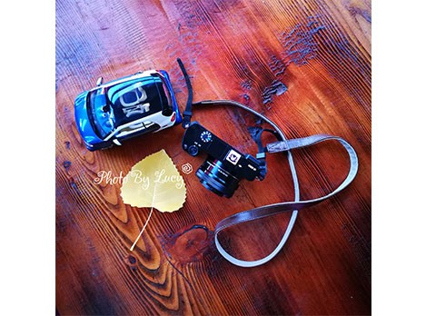 他们都以为我开smart去大理了...蓝鹅事实是...