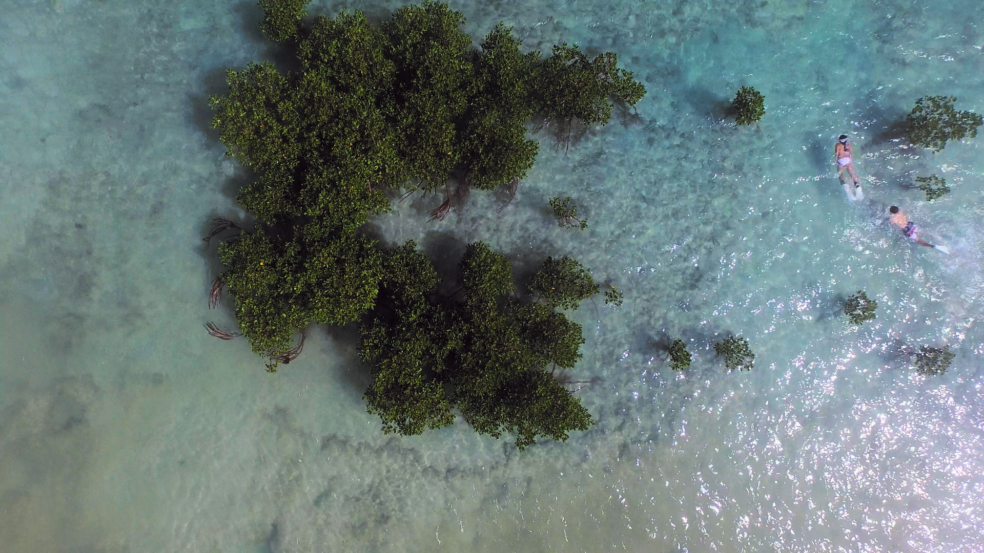 水肺潜水完能浮潜吗,水肺潜水和浮潜区别