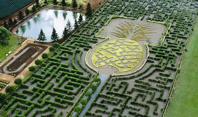 夏威夷旅游之地有哪些地方,夏威夷旅游攻略英文