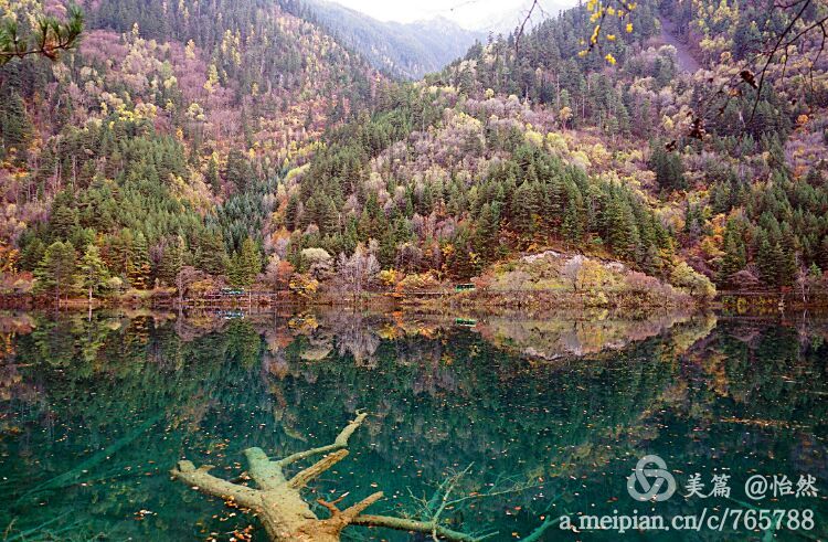 九寨沟让人失语的美丽童话世界,九寨沟有没有童话世界的景点