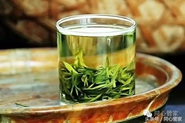 喝什么茶降三高降得最快,三高指哪三高怎样防治喝什么茶