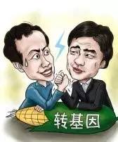 转基因食品该不该吃,转基因食物吃还是不吃