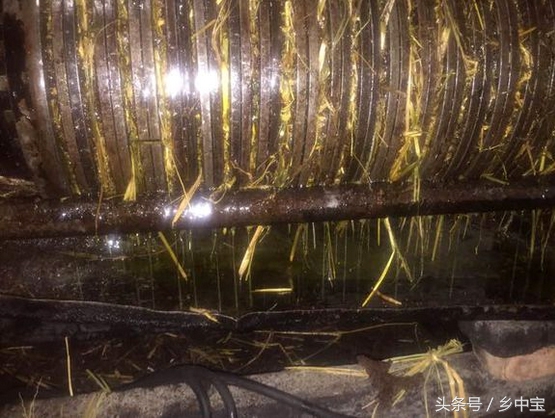 古老压榨山茶油,纯天然古法手工压榨山茶油