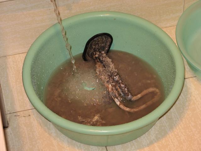 电热水器长期不清洗身上会发痒吗,电热水器清洗后怎么处理