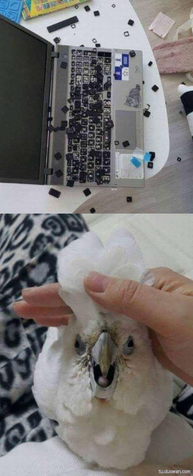 行尸走肉第一季到第十季存活的人,今日囧图最新更新