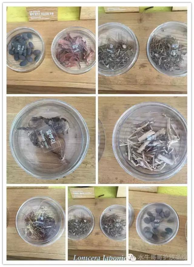 韩国化妆品是怎么生产的,韩国化妆品韩国人知道多少