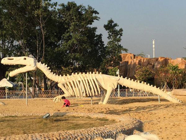 厉害了word哥,厉害了word哥视频