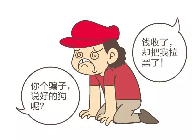 上当的人,新型买狗骗局