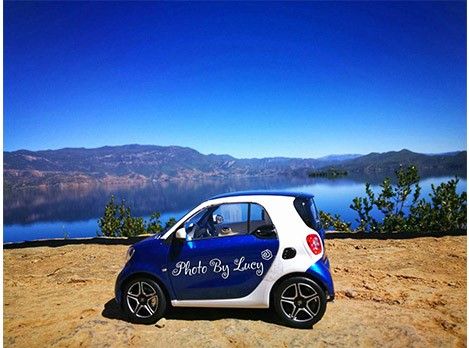 他们都以为我开smart去大理了...蓝鹅事实是...