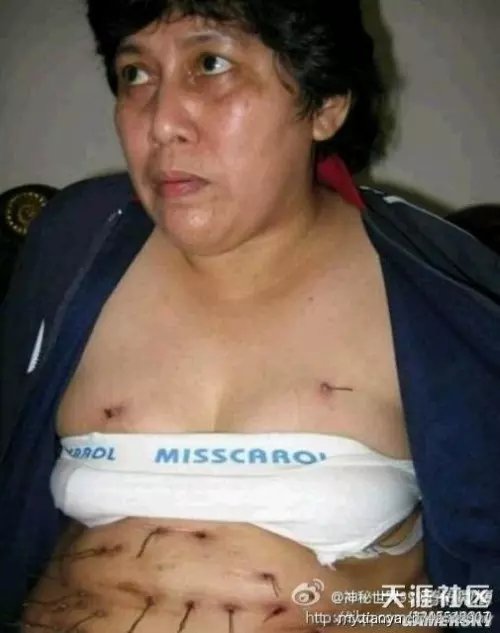 世界未解之谜6,世界未解之谜6个地方