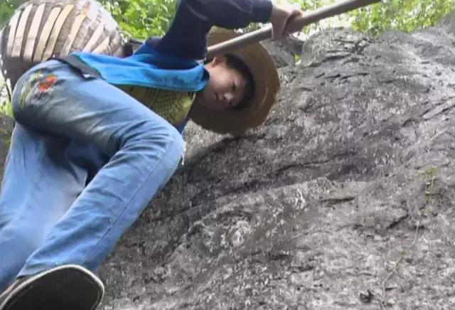 六十五年前那个给毛主席献花的小姑娘，为何在央视舞台上转身落泪