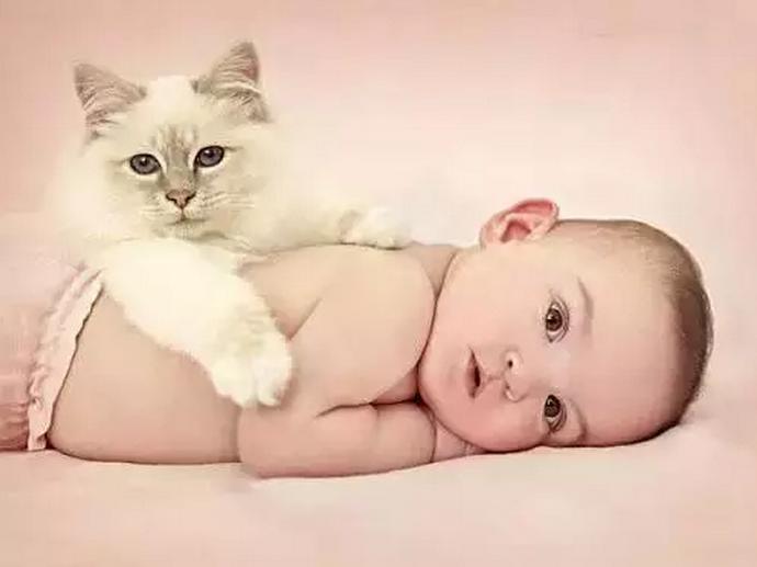 备孕中招的症状,孕前夫妻必知备孕的步骤