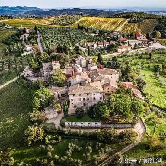 里皮06年夺冠时抽雪茄,里皮抽雪茄高举大力神杯