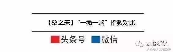 一微一端汽车大师稳居第一，桑之未再次上榜，活跃度持续走高