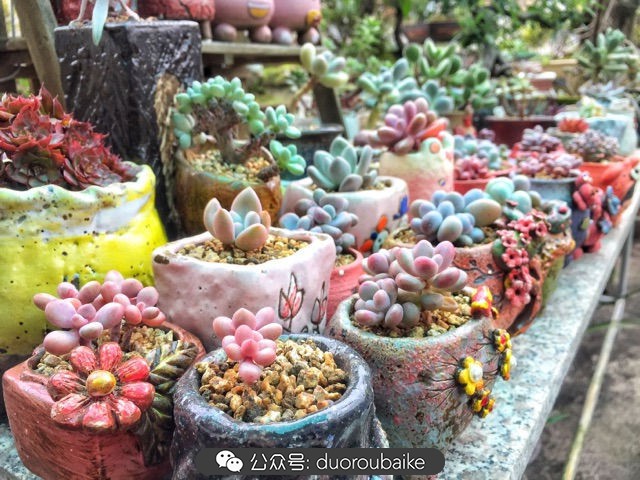 谈谈我对自己的看法,谈谈我对恋爱的看法