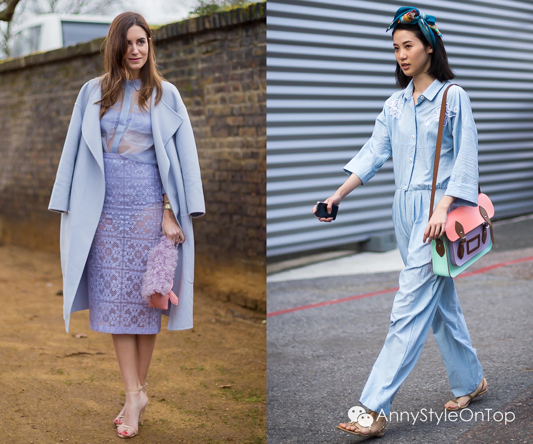 终极指南细说蚂蚁,2022年大趋势攻略