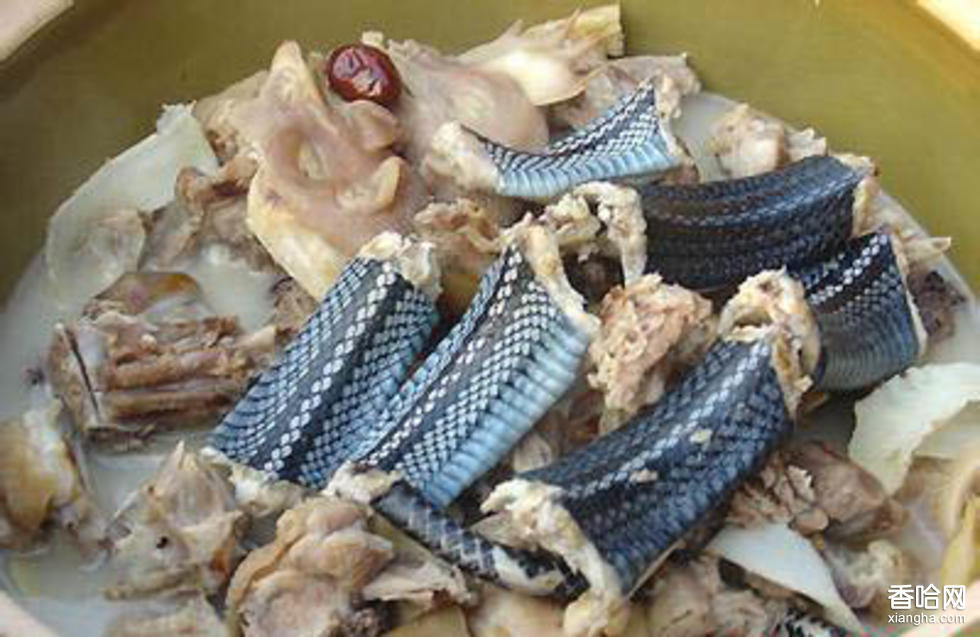 去梧州该吃什么?