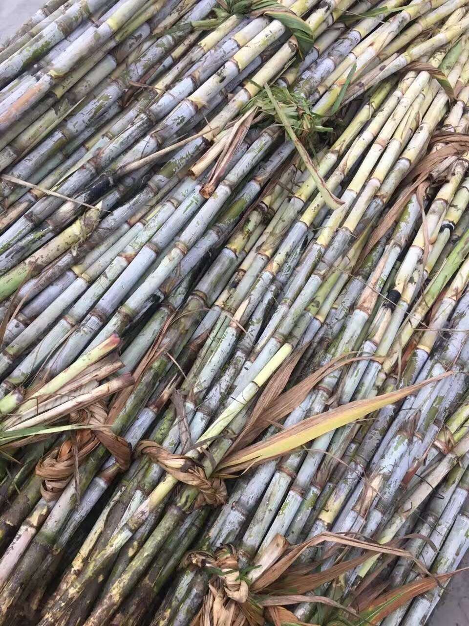 吃了那么多年的糖,吃了这么多年的红枣