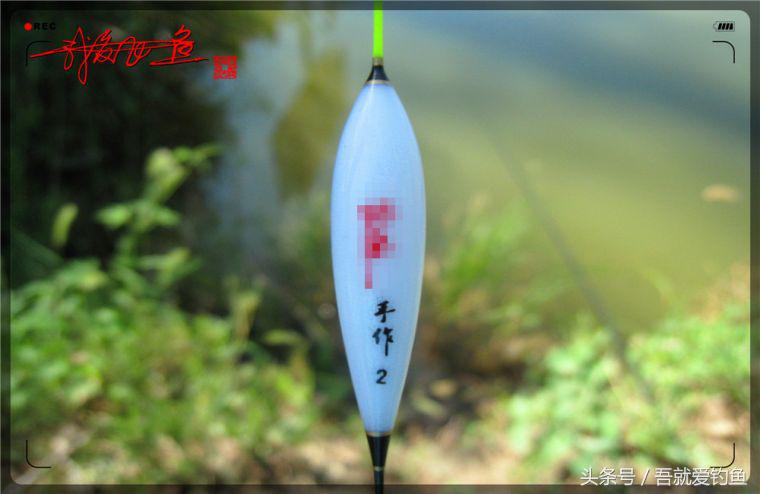 原创我爱飞鱼耍耍耍