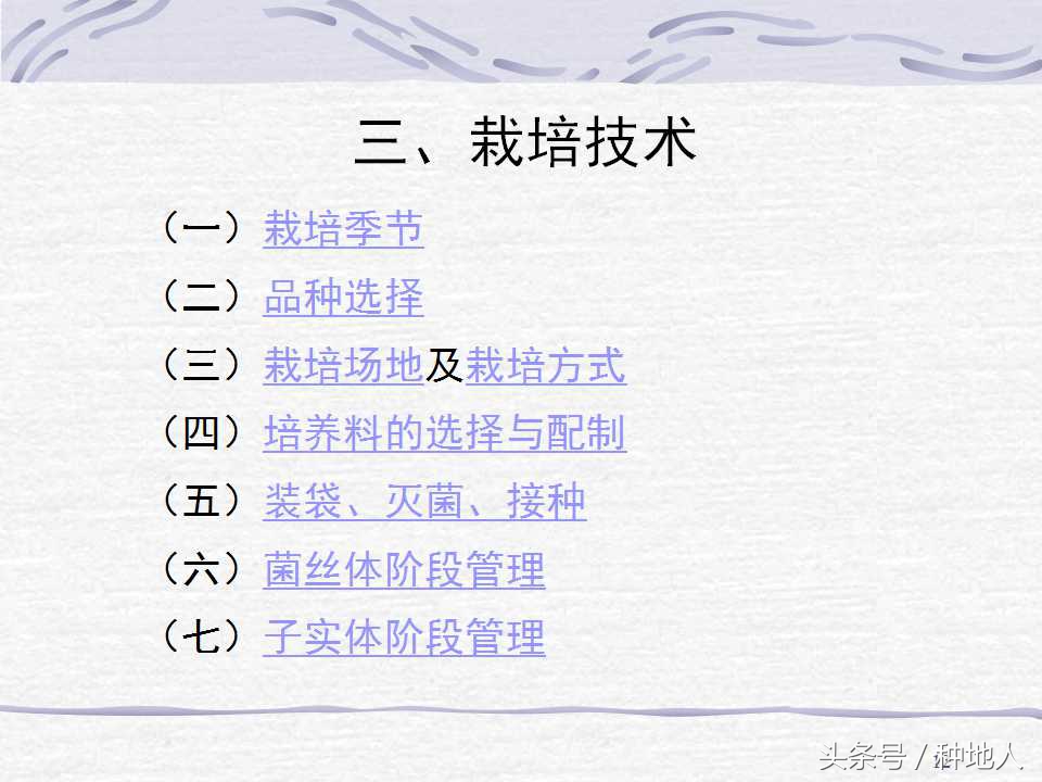 香菇栽培实用技术教案,屋顶香菇栽培