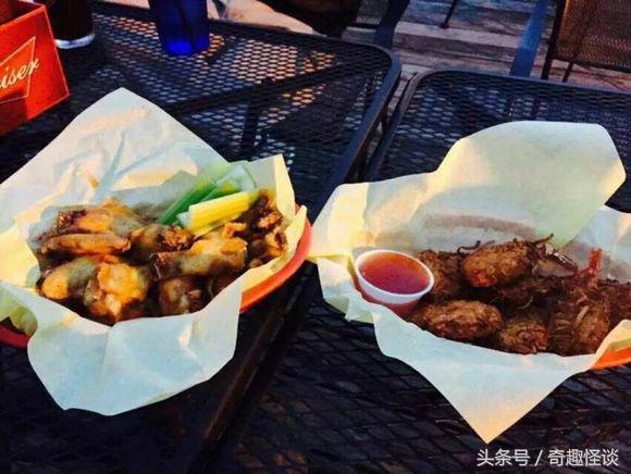 在美国旅游视频教学,美国自由行自驾游