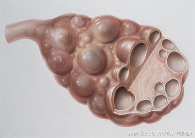 女生非经期出血有什么要注意的,女性要警惕几种非经期出血