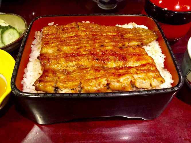 初秋日本快步东京，慢行北海道，泡汤美食8日