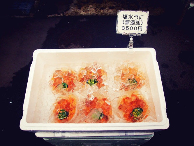 初秋日本快步东京，慢行北海道，泡汤美食8日