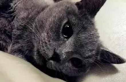 鹿晗对你心动的瞬间,鹿晗的对你爱不完